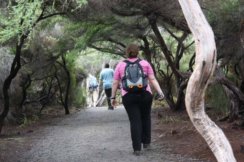 Nieuw-Zeeland 2011 - 0735